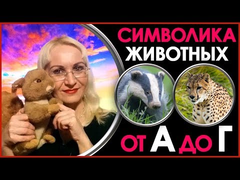 Видео: Какое животное символизирует чревоугодие?