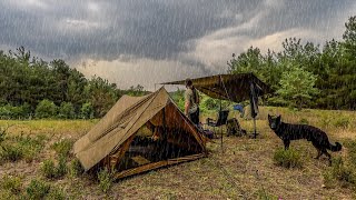 Heavy Rain Camping in Chalet Tent with my Dog  Relaxing in The Tent, Cosy Night, Thunder