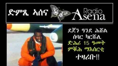 Voice of Assenna: Interview with Pilot-Prisoner, Dejen  - 7th & Final Part - Mon, June 2nd, 2014