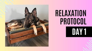 Relaxation Protocol Day 1: Introducing Calm Behavior