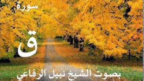 سورة ق بصوت الشيخ / نبيل الرفاعي 50