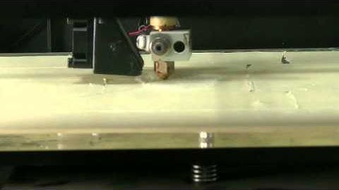 Printing  by Wanhao D5s mini