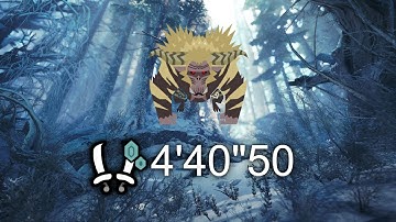 Monster Hunter World Iceborne: Furious Rajang Dual Blades Speedrun (4