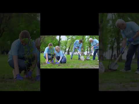 Где принимают вторсырье #shorts #dano