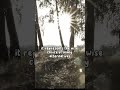 Most amazing motivational speech by steve