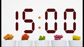 15 Minute Timer