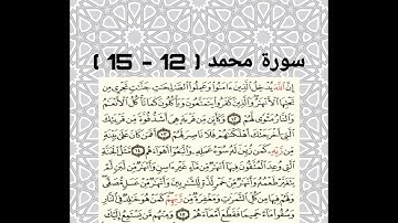 سورة محمد ( 12 - 15 ) للقارئ سعد الغامدي