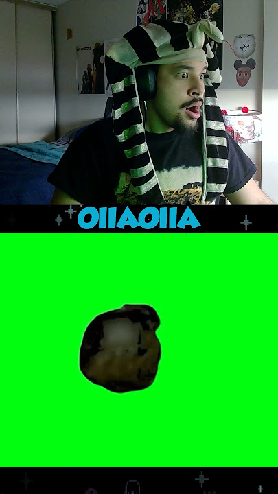 Bro did OIIAOIIA Cat 💀
