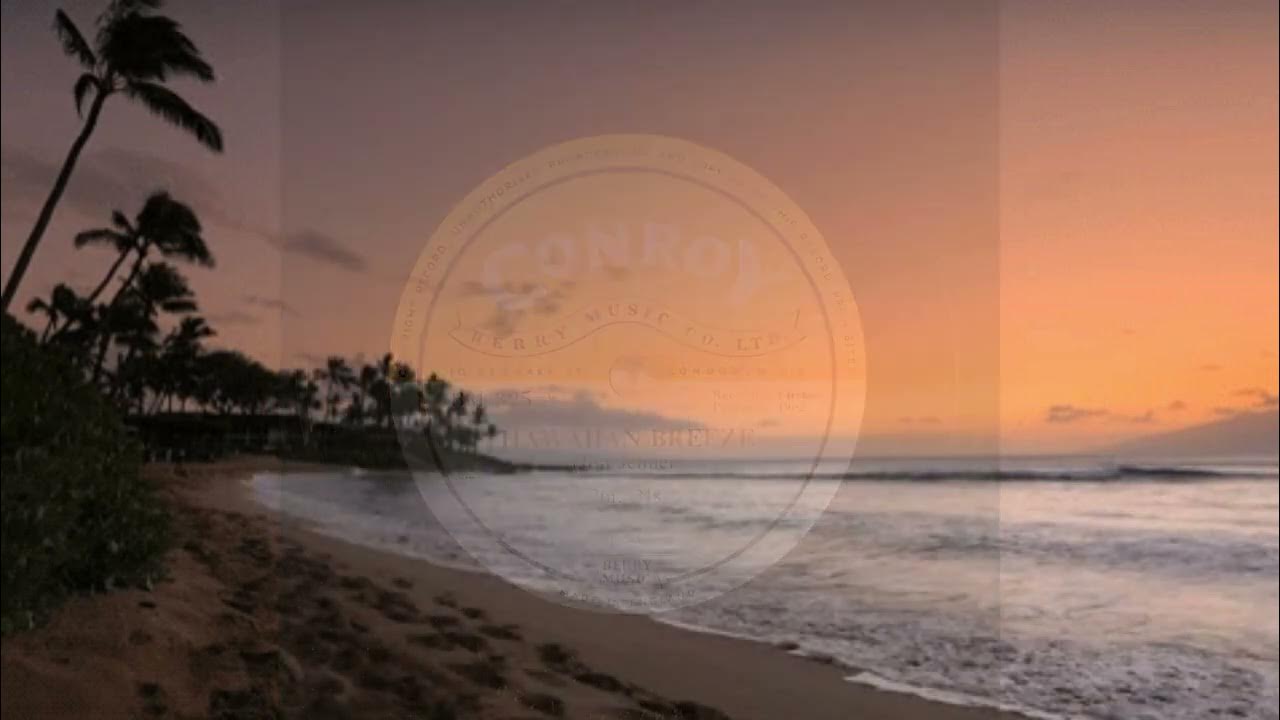 The Jon Jelmer's Hawaiian Collection The Jon Jelmer's Hawaiian Collection
