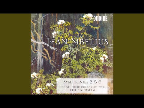 Symphony No. 6 in D Minor, Op. 104: III. Poco vivace