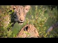 Singita's 100 Year Vision