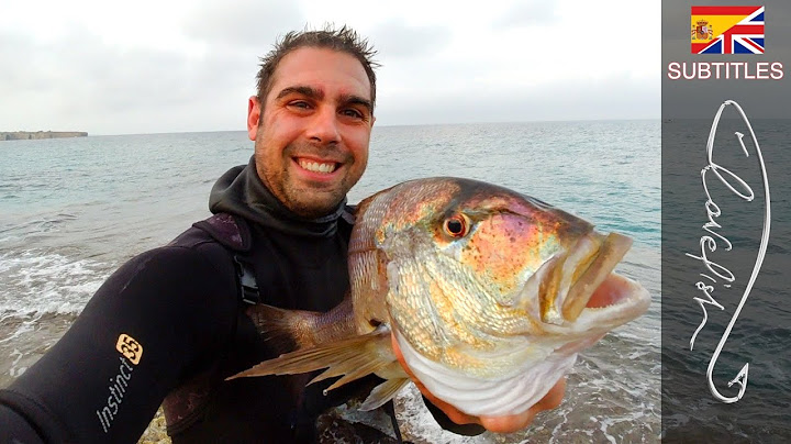 Il pesce più bello di tutta la mia vita