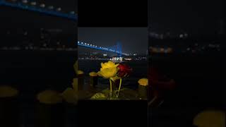 Broken Heart Shayari ❤️‍🩹Slowed+Reverb | Whatsapp Status | Aesthetic Lyrics | #trending #shayri