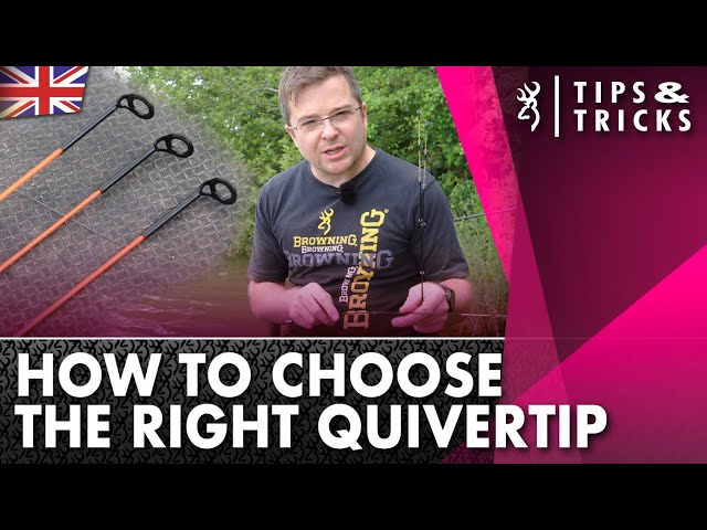 How to Choose the Right Quiver Tip for Feeder Fishing : 2022