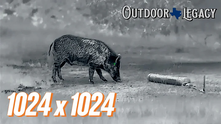 InfiRay Outdoor BOLT TX60C | THE FIRST 1024 x 1024 THERMAL REVIEW!!