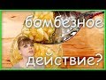 Съедай чеснок и мед натощак в течение 7 дней... И вот что произойдет с твоим организмом!