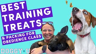 BEST Dog Training TREATS: What To PACK For Your FIRST (or any) Puppy Training CLASS screenshot 3