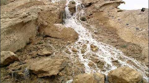 سورة المائدة 5-4 بصوت الشيخ مشارى راشد العفاسى