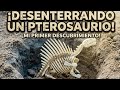 Qué criatura es esta? 🕵️‍♂️ Desenterrando un fósil