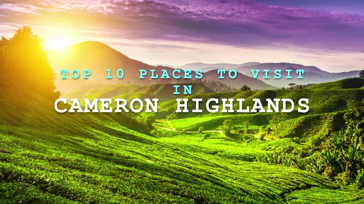 Top 10 places to visit in cameron highlands năm 2024