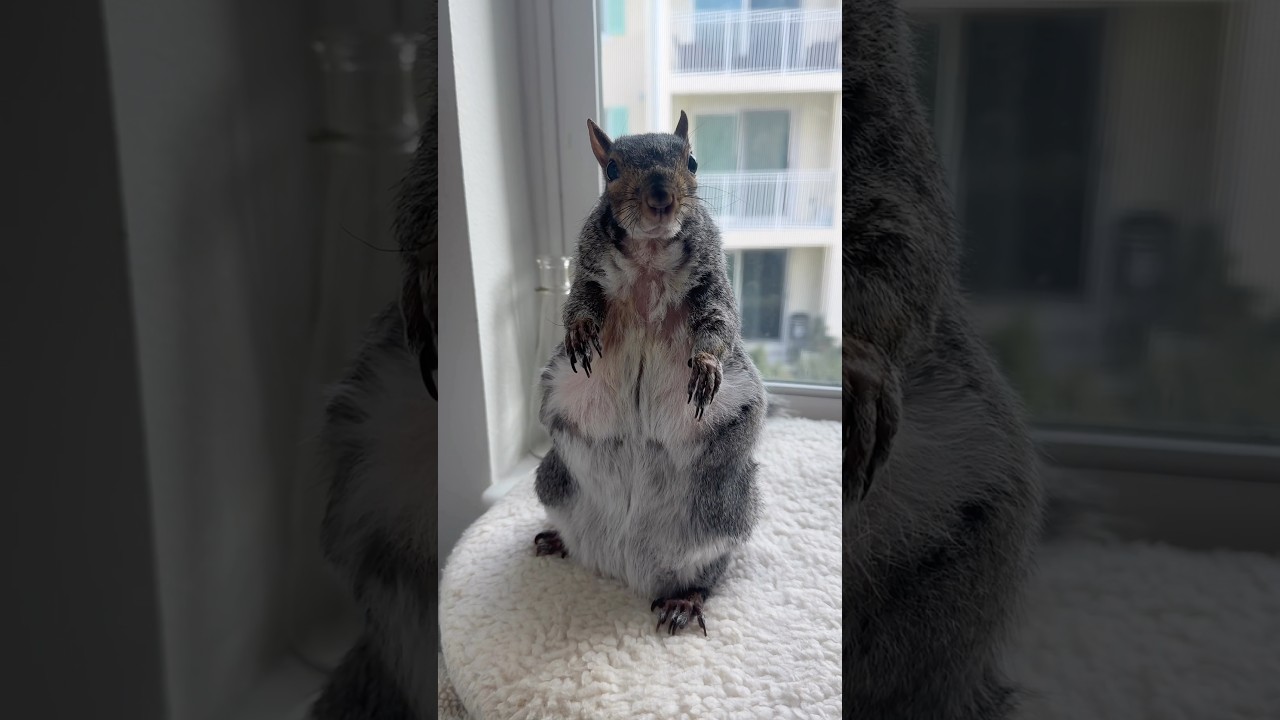 “It looked like a frog” 😳 