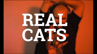 RANDOM - REAL CATS (VIDEO)