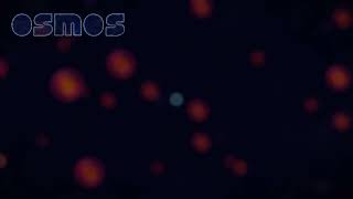 Osmos Music: Biosphere - Antennaria