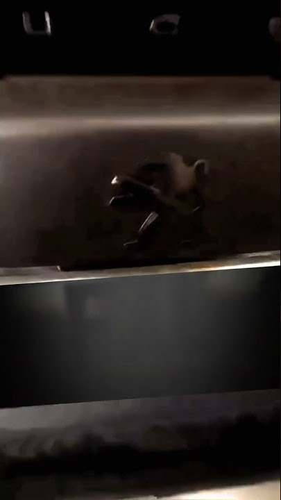 Eski akımı bizde yapalım dedik. #peugeot #2008 #araba #akım #shorts