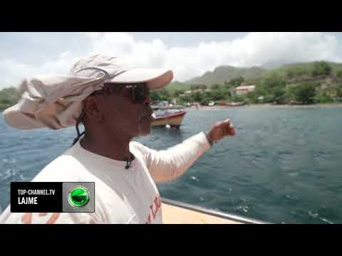 Video: Moti dhe klima në Martinikë