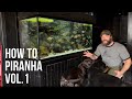 PIRANHA Keeping Tutorials Vol.1 Mp3 Song