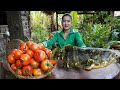 &#39;&#39;Malabar grouper fish&#39;&#39; - Have you ever cooked this ocean fish before? - Countryside life TV