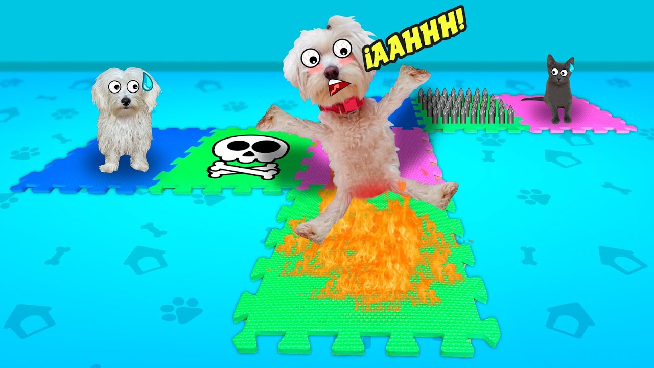 JUEGO DE MESA GIGANTE PERO PARA GATOS Y PERROS EN LA VIDA REAL !!