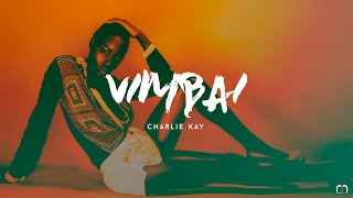 Charlie Kay - Vimbai [ Audio ]