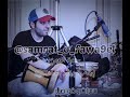 توحيدة الحمادي يا زهرة الربيع