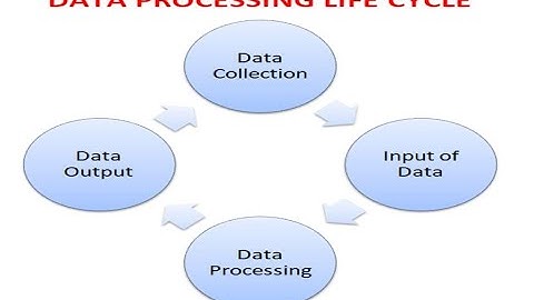 Unveiling The Data Processing Cycle