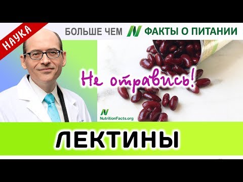 1384.Не отравись лектинами! | Больше чем ФАКТЫ О ПИТАНИИ - Майкл Грегер