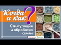 Стимуляция и обработка семян. Применяем разумно.