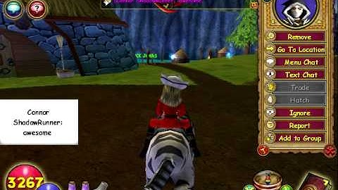 Fraps Test: Wizard101