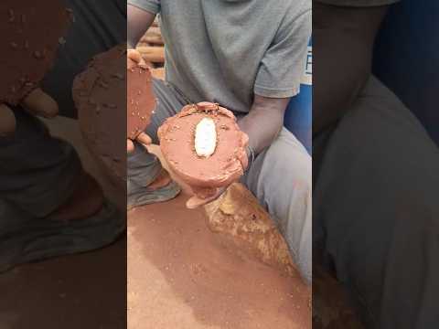 سؤال من متابع كيف ملكة النمل الأبيض كبيرة وما نشوفها