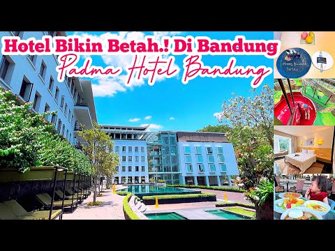 Hotel Terbaik ⁉️lengkap bikin Bocil Betah | Padma Hotel Bandung #review #staycation #hotelbandung