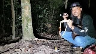 KISAH BENAR || MELUPUS DAN MEMUSNAH MINYAK PENGASIH DAN AZIMAT KEBAL