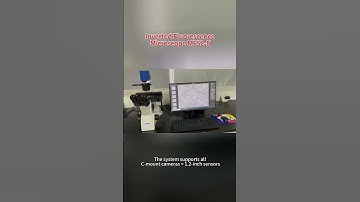 MSHOT #Inverted  #fluorescence  #microscope MF52-N