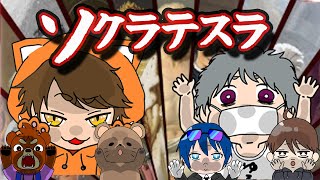 2025.03.09　＃きよちゃんグアス　ココフォリア