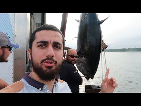 Video: Boston'da ton balığı!