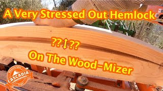 Milling A Very Stressed Out Hemlock | Wood-Mizer LT35 Hydraulic | Portable Sawmill