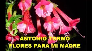 Miniatura del video "ANTONIO TORMO  - FLORES PARA MI MADRE -  VALS"