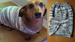 Roupa para cachorro em tricô - Explicativo - YouTube