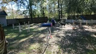 Usdaa144418 P2Jm 109749 1