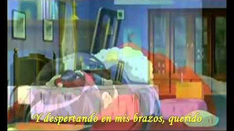 AMV DON