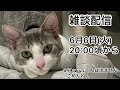 【第1回生配信】雑談 お話ししましょう〜【佐々木琴子】